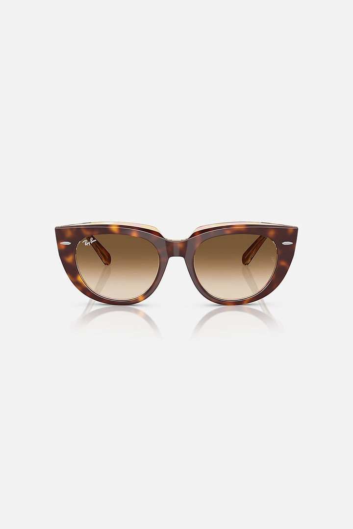 Ray Ban - Doreen in Polished Light Havana On Transparent Multicolor Frames with Clear Gradient Brown Lenses - RB228614145152