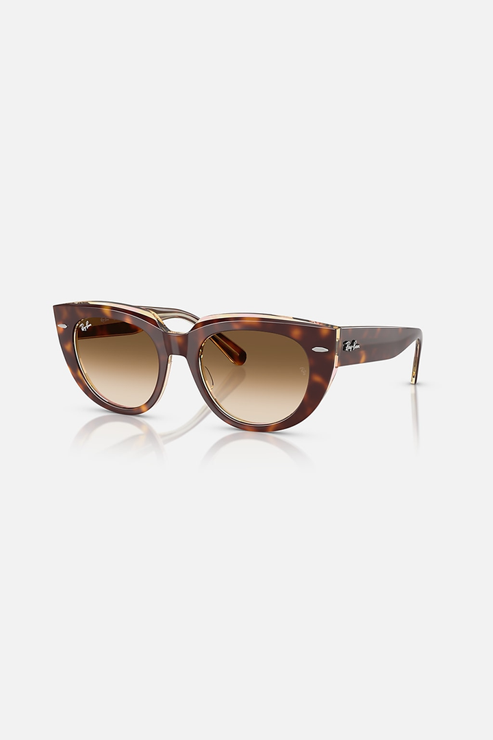 Ray Ban - Doreen in Polished Light Havana On Transparent Multicolor Frames with Clear Gradient Brown Lenses - RB228614145152