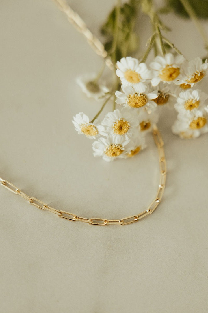 Mauve Jewelry Co. - Madeline Gold Filled Paperclip Necklace in Gold - 18in
