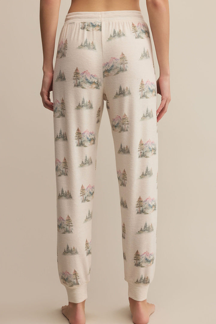 Z Supply - Overnight Road Trip Jogger in Crystal