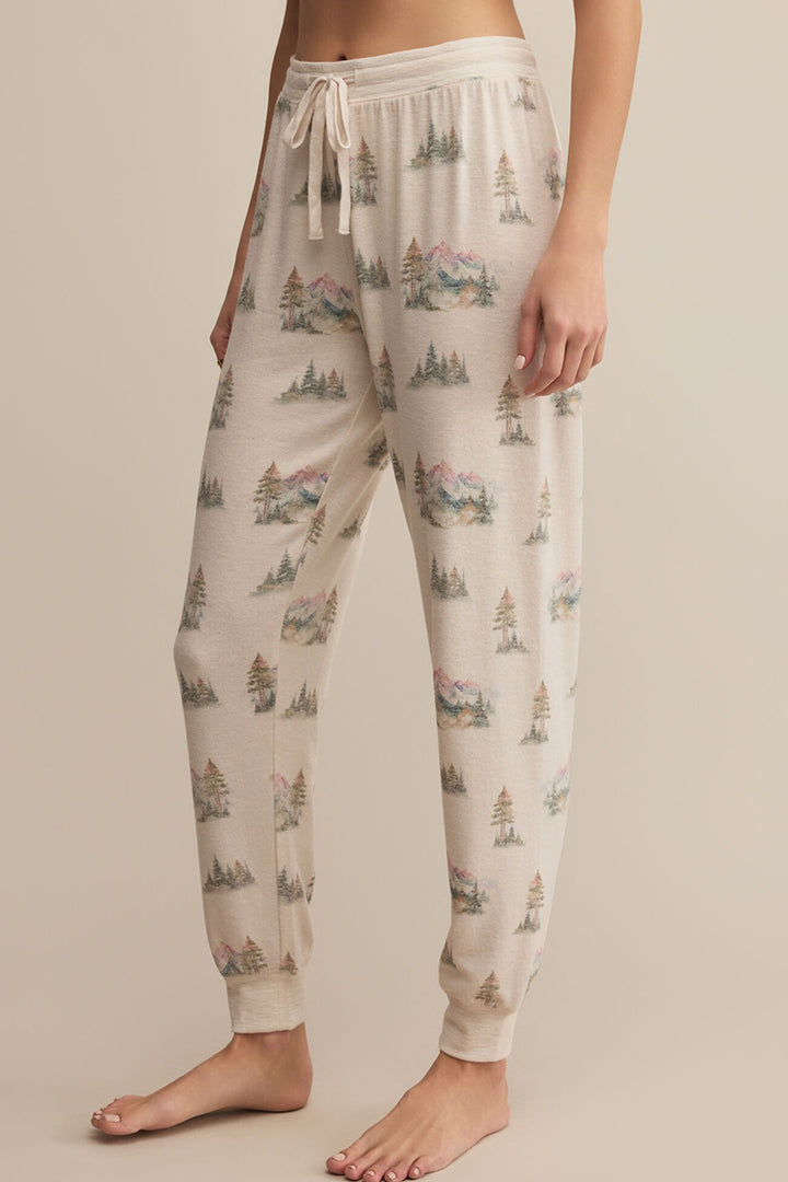 Z Supply - Overnight Road Trip Jogger in Crystal